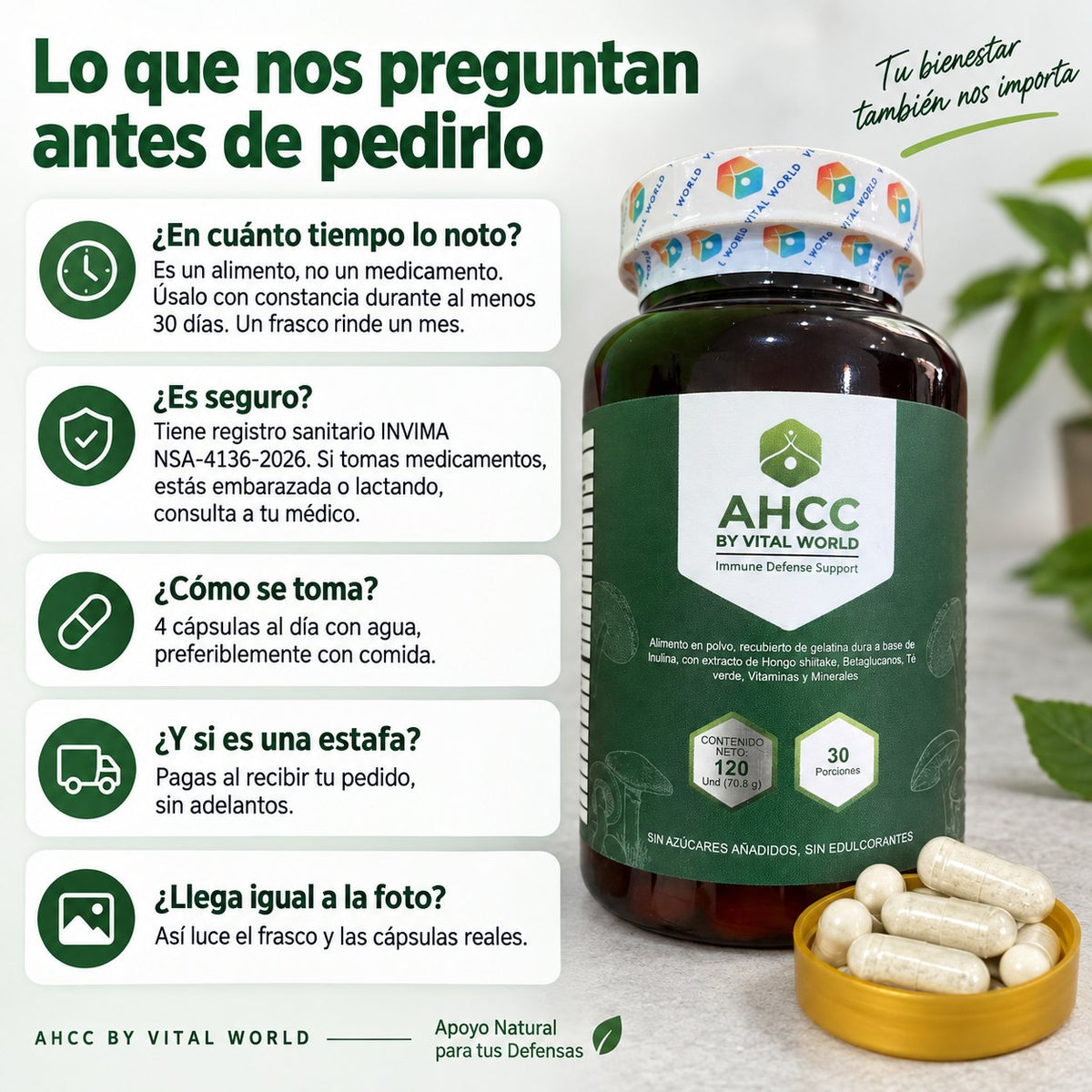 Lo que nos preguntan antes de pedirlo