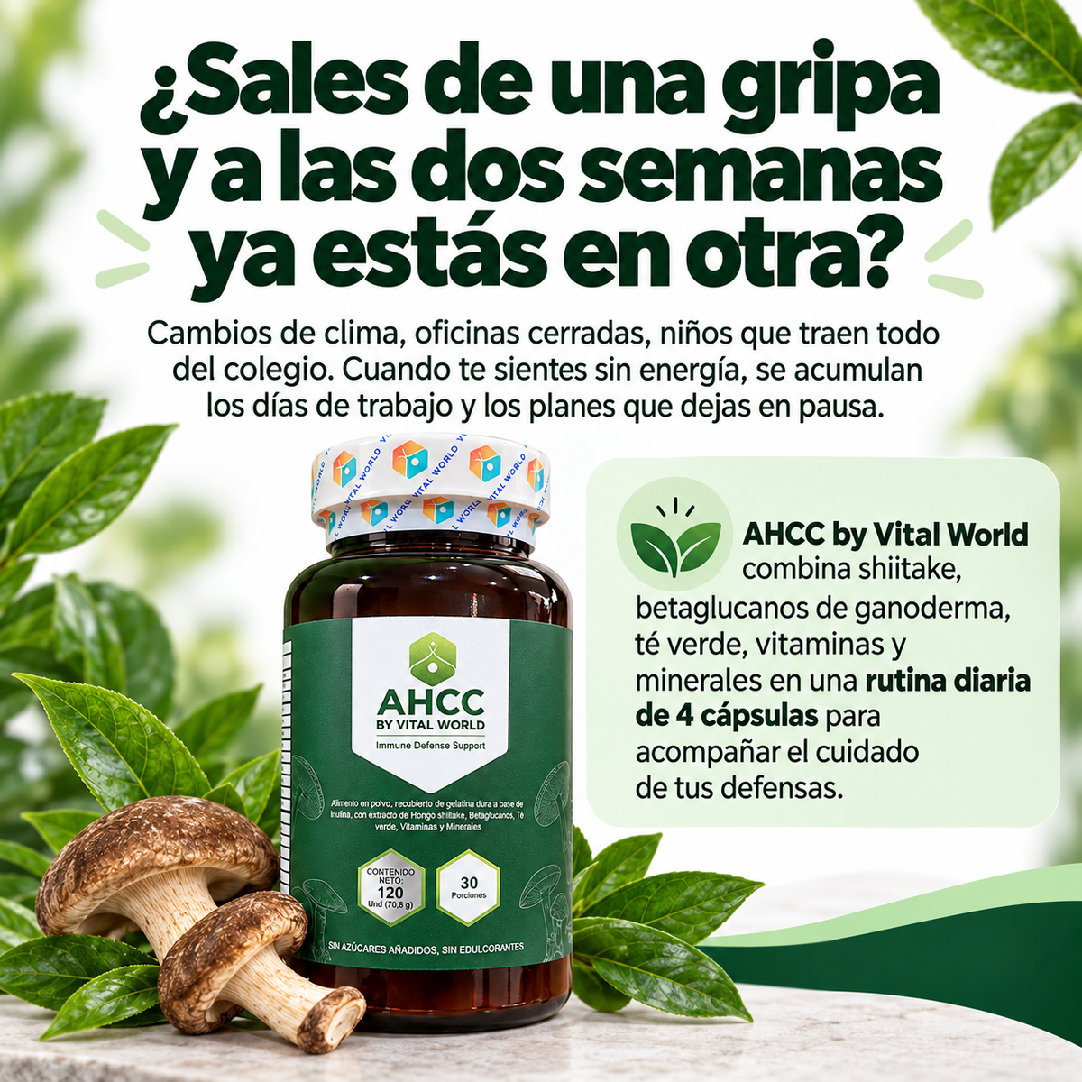 AHCC
